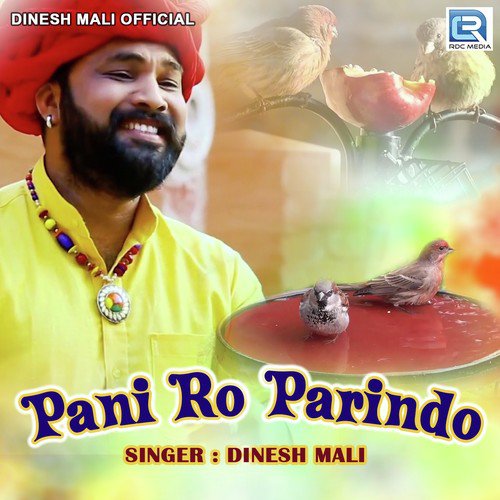 Pani Ro Parindo Song By Pani Ro Parindo Poster