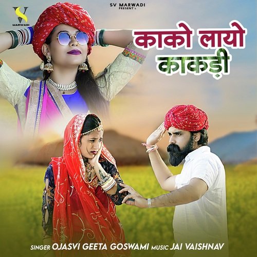 Kako Layo Kakdi Song By Kako Layo Kakdi Poster