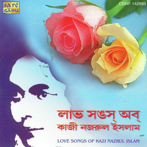 Tomarei Aami Chahiyachhi Priyo Song By Tomarei Aami Chahiyachhi Priyo Poster