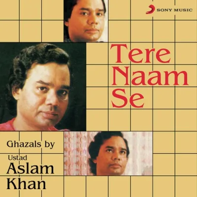 Meri Tanhayi Song By Meri Tanhayi Poster