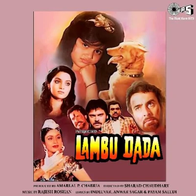 Happy Birthday O Mere Dadi Song By Happy Birthday O Mere Dadi Poster