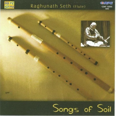 Heer Punjab Flute Raghunath Seth Song By Heer Punjab Flute Raghunath Seth Poster