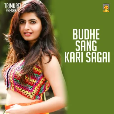 Meer Piche Se Mar Gayo Geela Song By Meer Piche Se Mar Gayo Geela Poster