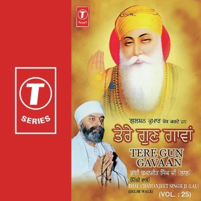 Tere Gun Gavaan Song By Tere Gun Gavaan Poster