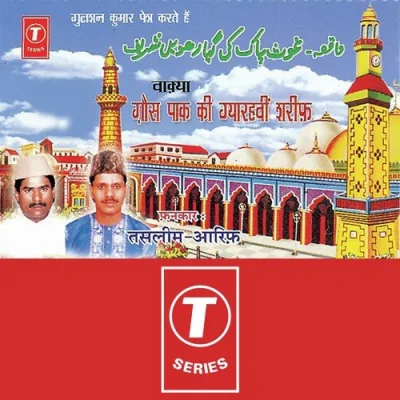 Chintpurni Song By Chintpurni Poster