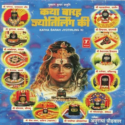 Nageshwar Mahadev Tera Daras Nirala Hai Song By Nageshwar Mahadev Tera Daras Nirala Hai Poster