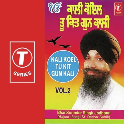 Mat Dekh Bula Veesre Song By Mat Dekh Bula Veesre Poster