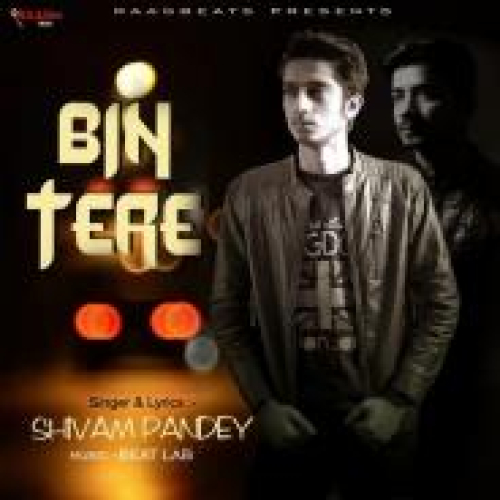 Bin Tere Song By Bin Tere Poster