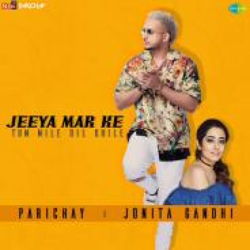 Jeeya Mar Ke Tum Mile Dil Khile Song By Jeeya Mar Ke Tum Mile Dil Khile Poster