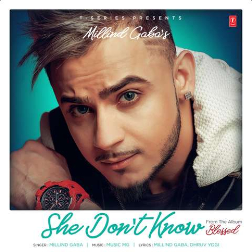 She Dont Know Song By She Dont Know Poster