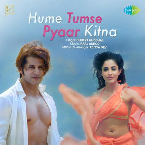 Hume Tumse Pyaar Kitna Title Track Song By Hume Tumse Pyaar Kitna Title Track Poster