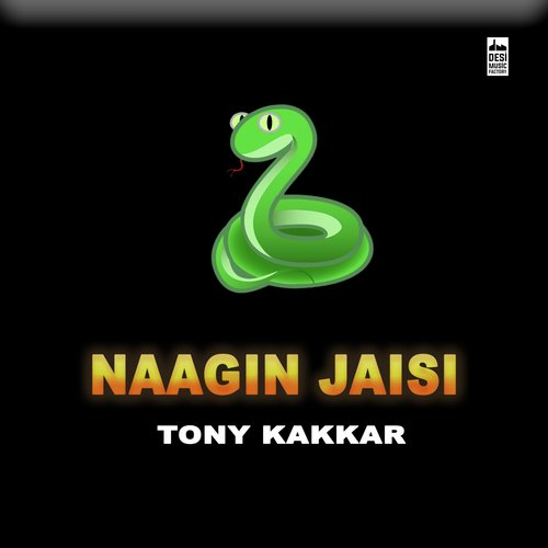 Naagin Jaisi (Sangeetkaar) Song By Naagin Jaisi (Sangeetkaar) Poster