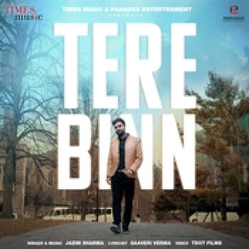 Tere Binn Song By Tere Binn Poster
