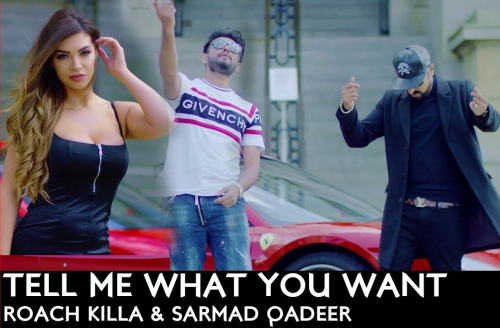 Tell Me What You Want Song By Tell Me What You Want Poster