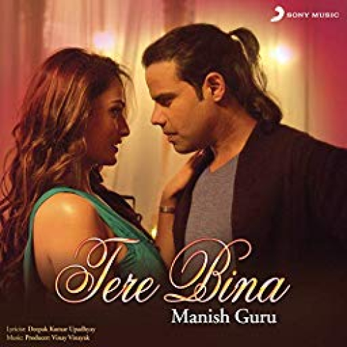 Tere Bina Song By Tere Bina Poster