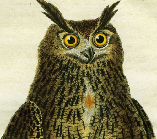 Asli kalakar Song By Asli kalakar Poster