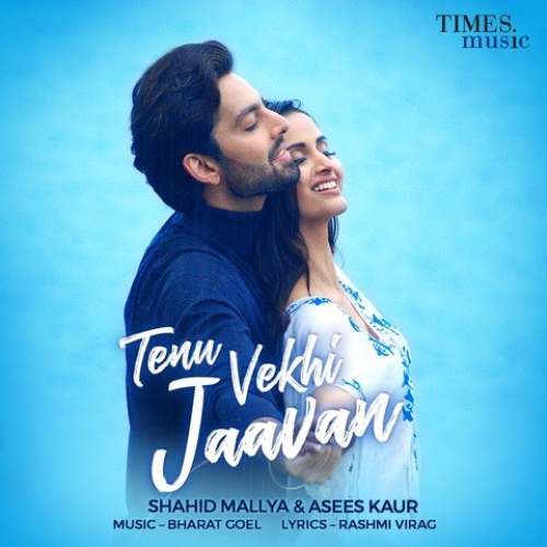 Tenu Vekhi Jaavan Song By Tenu Vekhi Jaavan Poster
