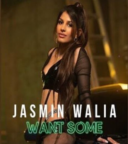Want Some Song By Want Some Poster