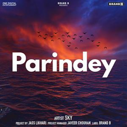 Parindey  Song By Parindey  Poster
