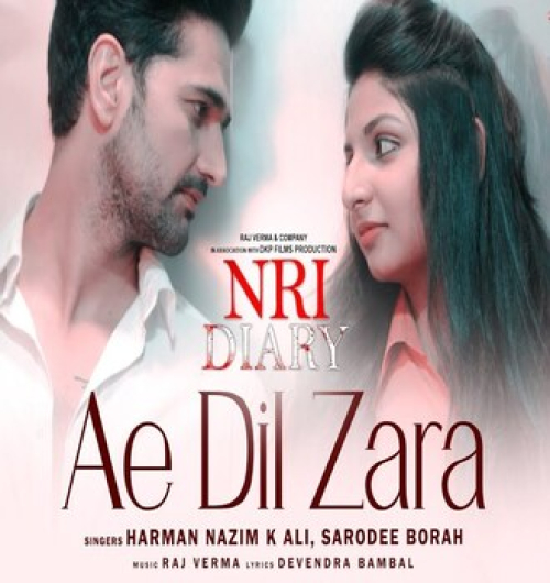 Ae Dil Zara (NRI Diary) Song By Ae Dil Zara (NRI Diary) Poster