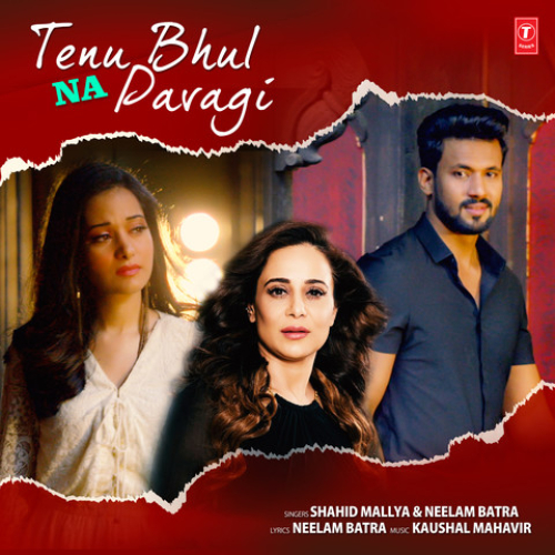 Tenu Bhul Na Pavagi Song By Tenu Bhul Na Pavagi Poster