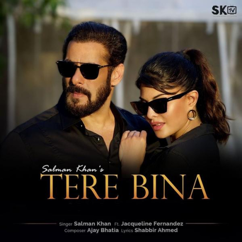 Tere Bina Song By Tere Bina Poster