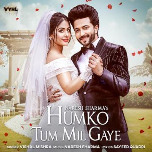 Humko Tum Mil Gaye Song By Humko Tum Mil Gaye Poster