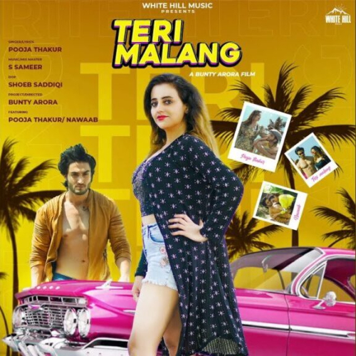 Teri Malang Song By Teri Malang Poster