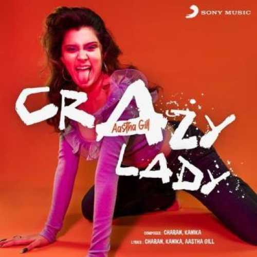 Crazy Lady Song By Crazy Lady Poster