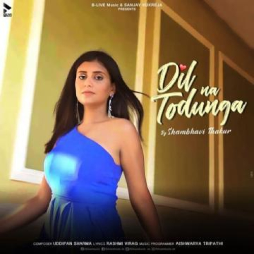 Dil Na Todunga Song By Dil Na Todunga Poster