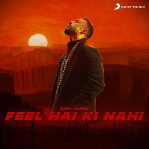 Feel Hai Ki Nahi Song By Feel Hai Ki Nahi Poster