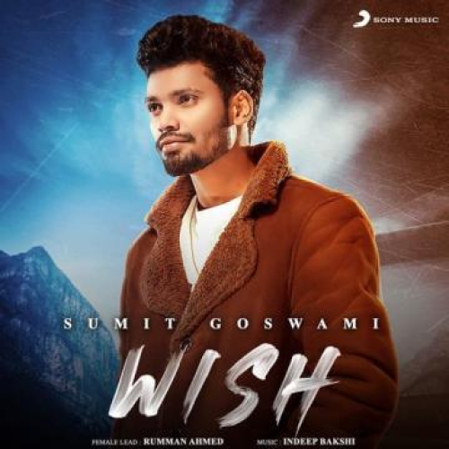 Wish Song By Wish Poster