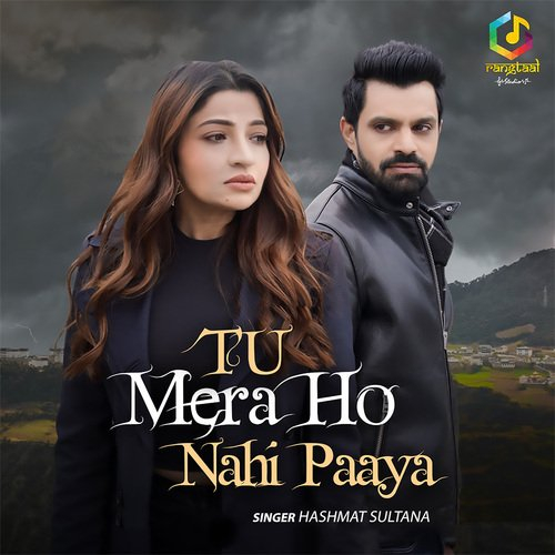 Tu Mera Ho Nahi Paaya Song By Tu Mera Ho Nahi Paaya Poster