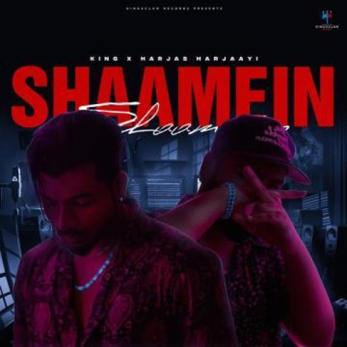 Shaamein Song By Shaamein Poster