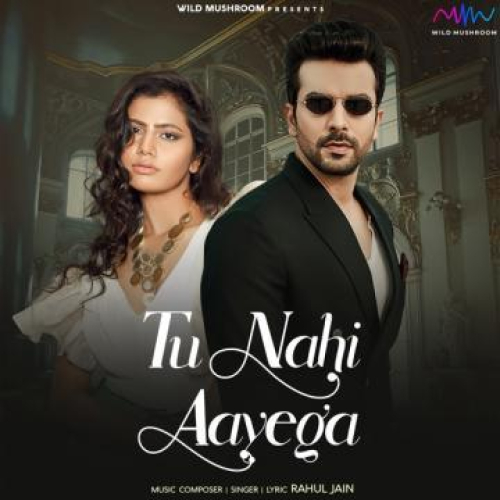 Tu Nahi Aayega Song By Tu Nahi Aayega Poster