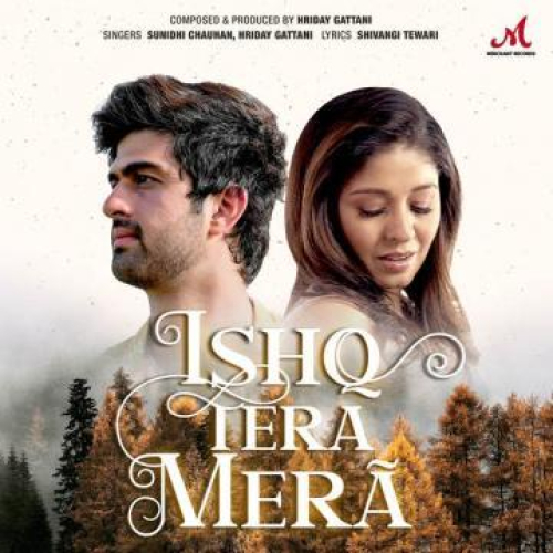 Ishq Tera Mera Song By Ishq Tera Mera Poster