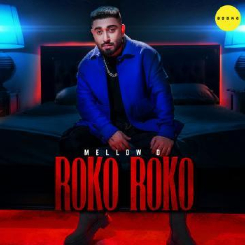 Roko Roko Song By Roko Roko Poster
