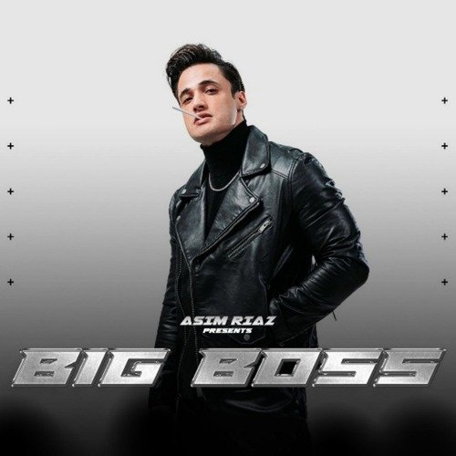 Big Boss Song By Big Boss Poster