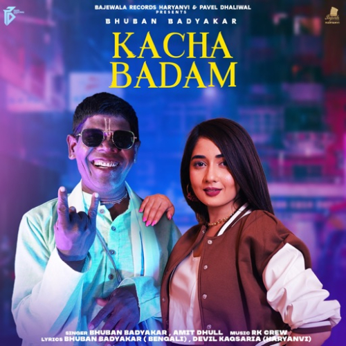 Kacha Badam Song By Kacha Badam Poster