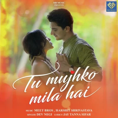 Tu Mujhko Mila Hai Song By Tu Mujhko Mila Hai Poster