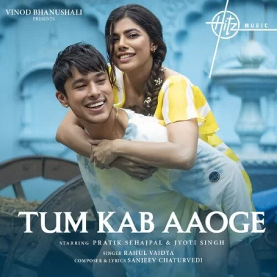 Tum Kab Aaoge Song By Tum Kab Aaoge Poster
