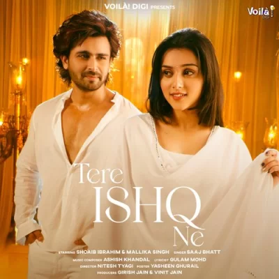 Tere Ishq Ne Song By Tere Ishq Ne Poster