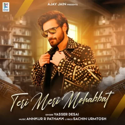 Teri Meri Mohabbat Song By Teri Meri Mohabbat Poster
