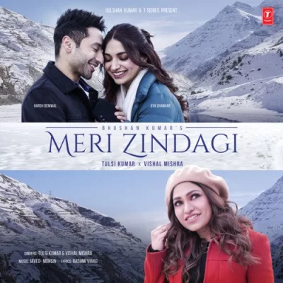 Meri Zindagi Song By Meri Zindagi Poster