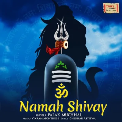 Om Namah Shivay Song By Om Namah Shivay Poster