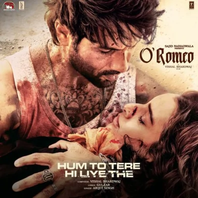 Hum To Tere Hi Liye The Song By Hum To Tere Hi Liye The Poster
