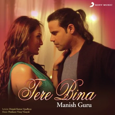 Tere Bina Song By Tere Bina Poster