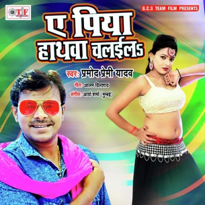 Puchhla Pa Hathwa Chalaila Song By Puchhla Pa Hathwa Chalaila Poster