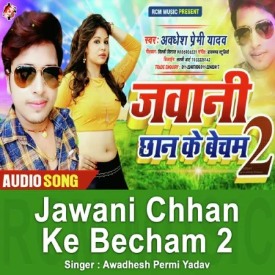 Jawani Chhan Ke Becham 2 Song By Jawani Chhan Ke Becham 2 Poster