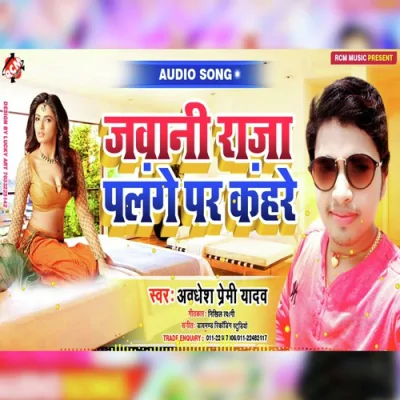 Jawani Raja Palange Pa Kahare Song By Jawani Raja Palange Pa Kahare Poster